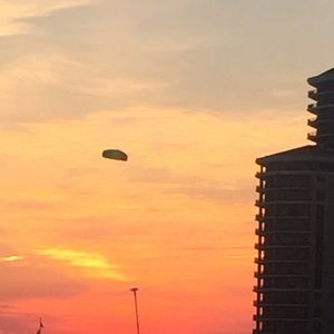 Meet your Posher, Paula