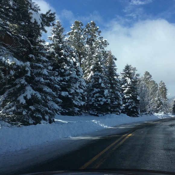 Meet your Posher, Ellen - Picture 2 of 2