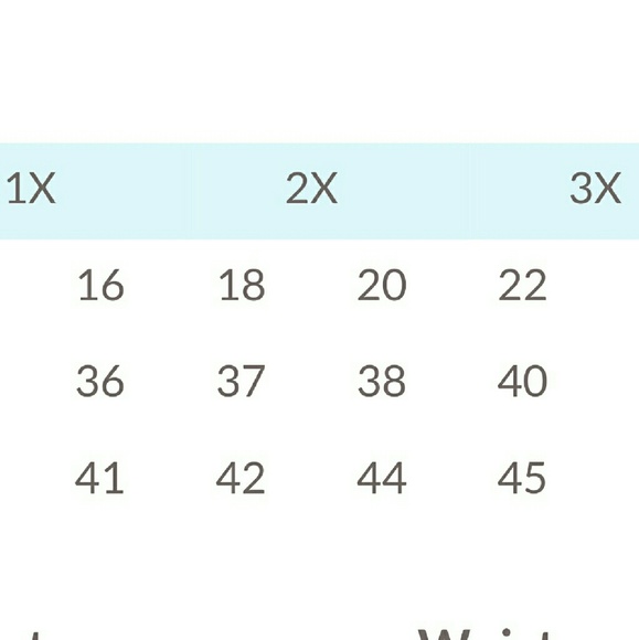 Plus size lovely skirt NWT - Picture 3 of 3