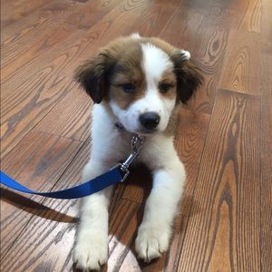 Meet your Posher, Kristine