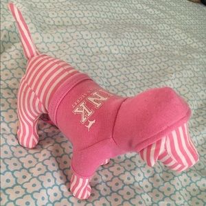 Rare Pink dog with hoodie