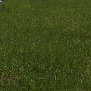 Meet your Posher, Summer