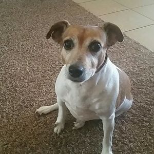 Meet your Posher, Allison