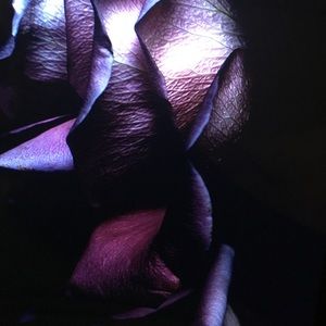 Meet your Posher, Kiona