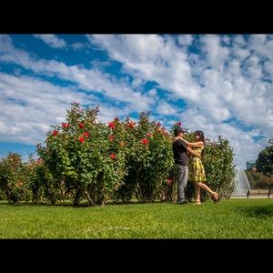 Dorothy Perkins Floral Dress