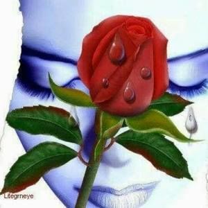 Meet your Posher, Isabel