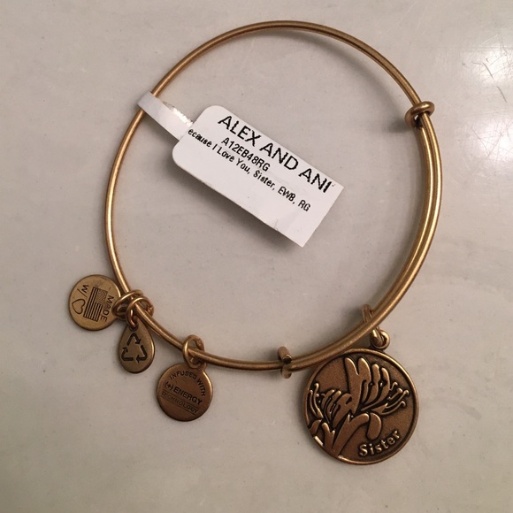 NWT Alex and Ani sister bracelet