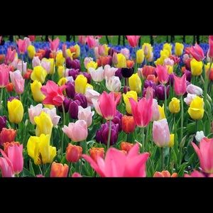 Meet your Posher, Carolyn