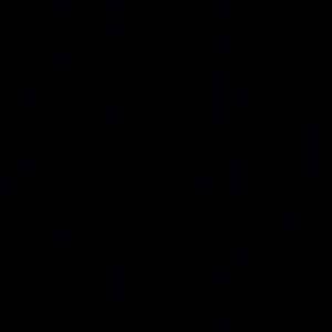 Meet your Posher, Aneesha