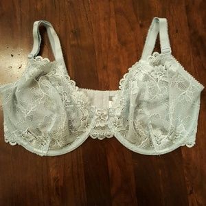 38DD Apt.9 Light blue peek-e-boo lace bra.