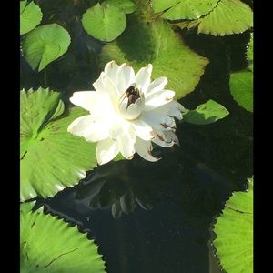 Meet your Posher, Caron