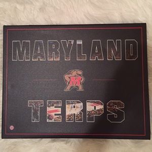 Maryland basketball canvas