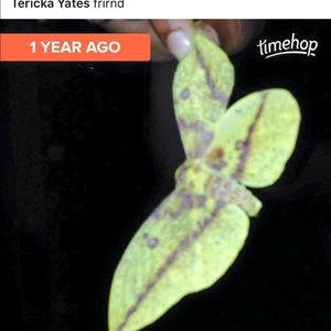 Meet your Posher, Tericka