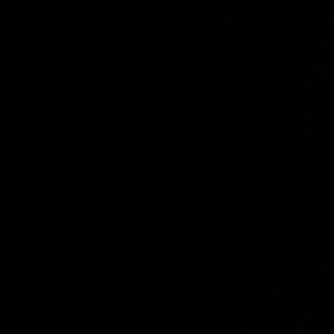 Meet your Posher, Leonetta