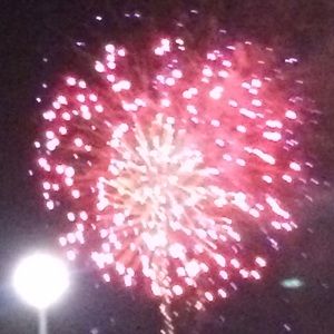 Meet your Posher, Misty