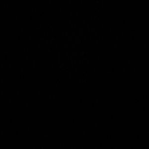 Meet your Posher, Lisette