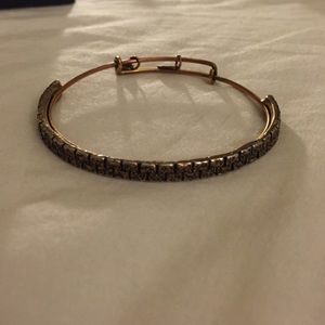 Alex and Ani Gold bangle