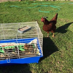 Meet your Posher, Eva