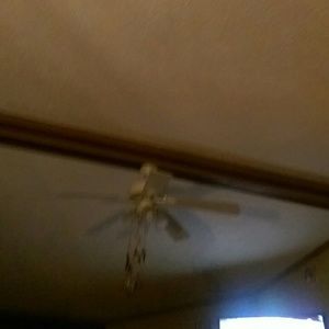 Meet your Posher, Trudie