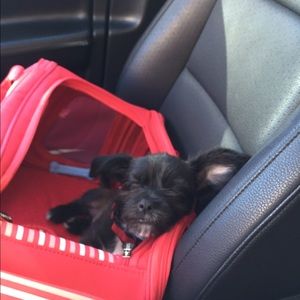 Meet your Posher, Patty