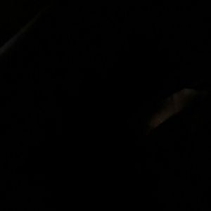 Meet your Posher, Skylar