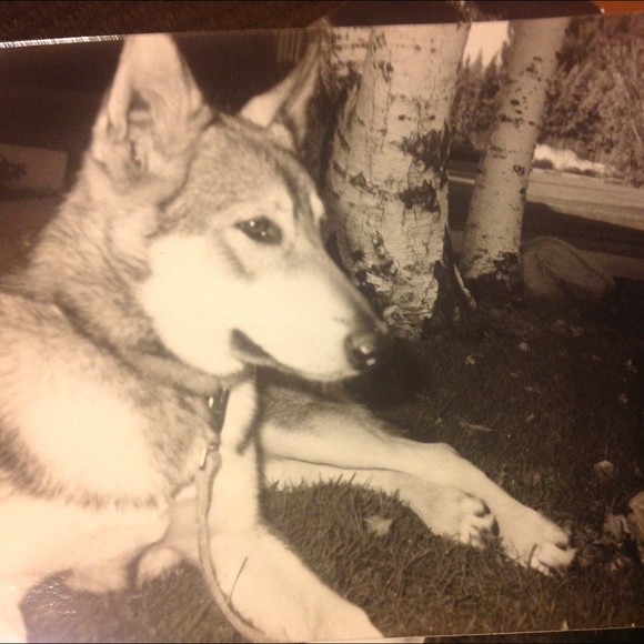 Luna - Picture 2 of 3