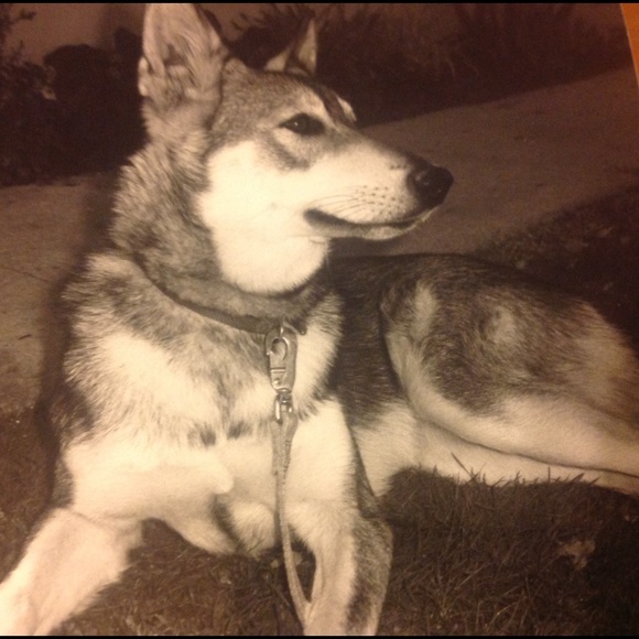 Luna - Picture 3 of 3