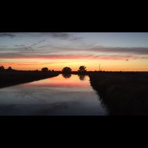 Meet your Posher, Delany