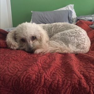 Meet your Posher, Victoria