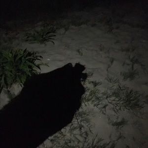 Meet your Posher, Cait