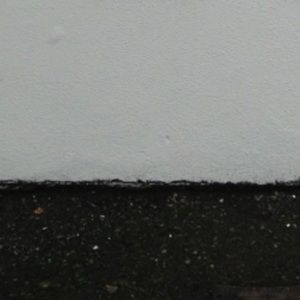 Meet your Posher, Cat