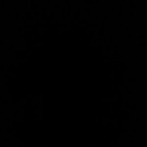 Meet your Posher, Lorie