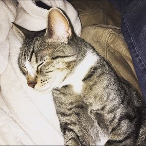 Meet your Posher, Kendra