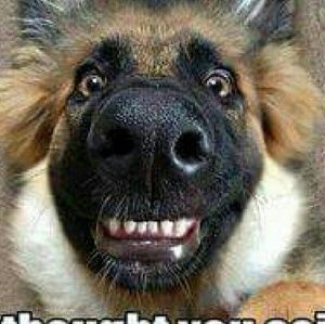 Meet your Posher, Sheila