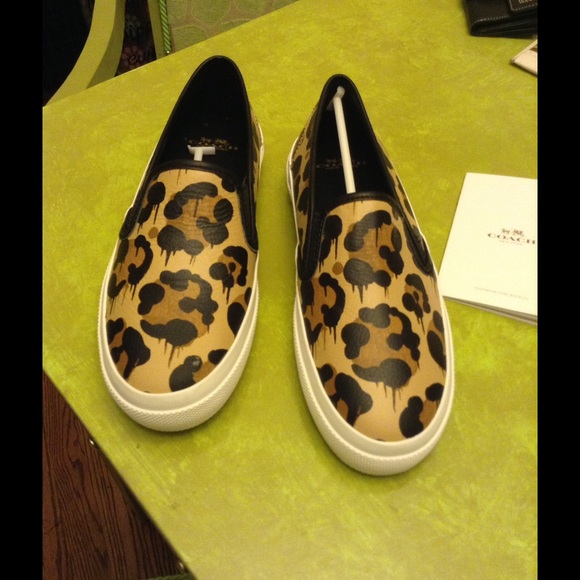 Coach Shoes - Chrissy WILD BEAST SNEAKER