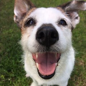 Meet your Posher, Chloe