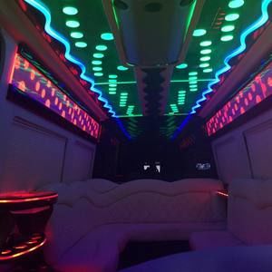 Meet your Posher, Abbiepartybus