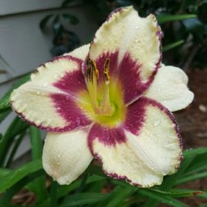 Meet your Posher, Christy