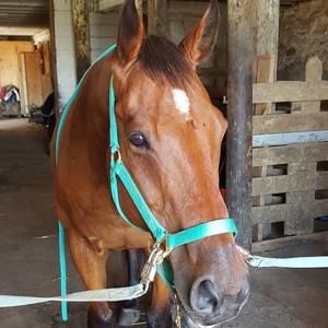 Meet your Posher, Mary-ellen