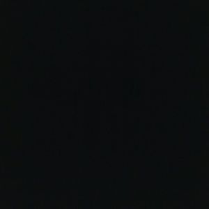 Meet your Posher, Darlene