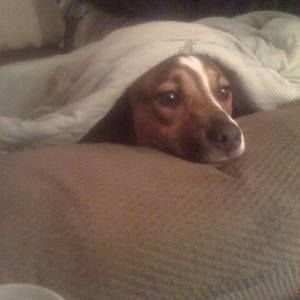 Meet your Posher, Sandy