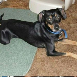 Meet your Posher, Sheena