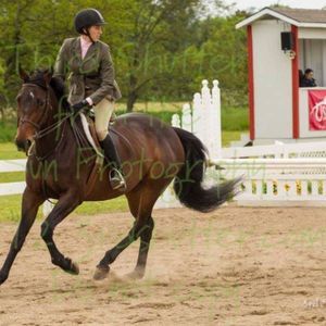 Meet your Posher, Kelsey