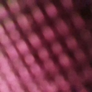 Meet your Posher, Bianca