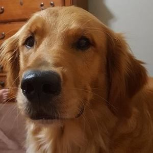 Meet your Posher, Lynn