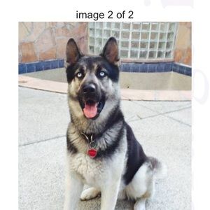 Meet your Posher, Vanessa