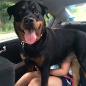 Meet your Posher, Vicki