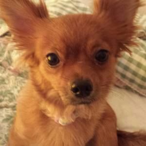 Meet your Posher, Candy