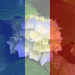 Meet your Posher, Lenora