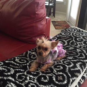 Meet your Posher, Maybelle